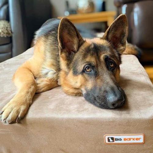 Khaki barker beds large - -,
